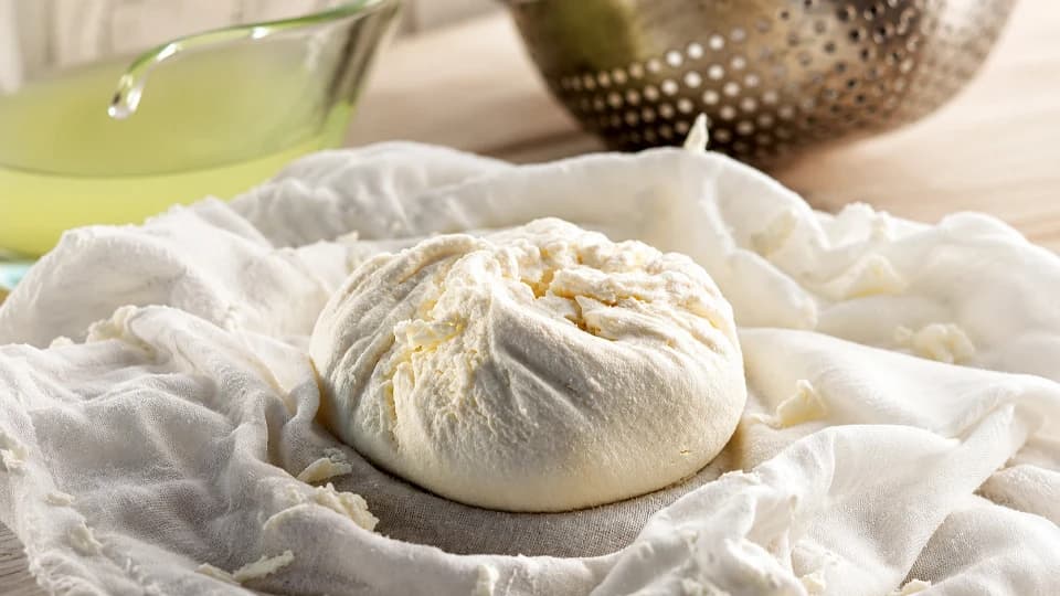 Ricotta Peyniri