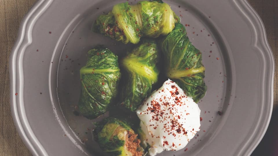 Has Dolma